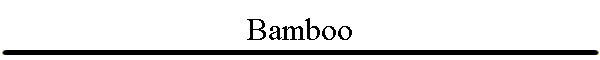 Bamboo