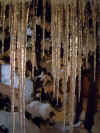 icicles.jpg (28512 bytes)