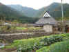 japanese-countryside.jpg (29757 bytes)