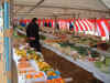 veggie-display.jpg (30191 bytes)